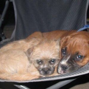 Meet your Posher, Erin